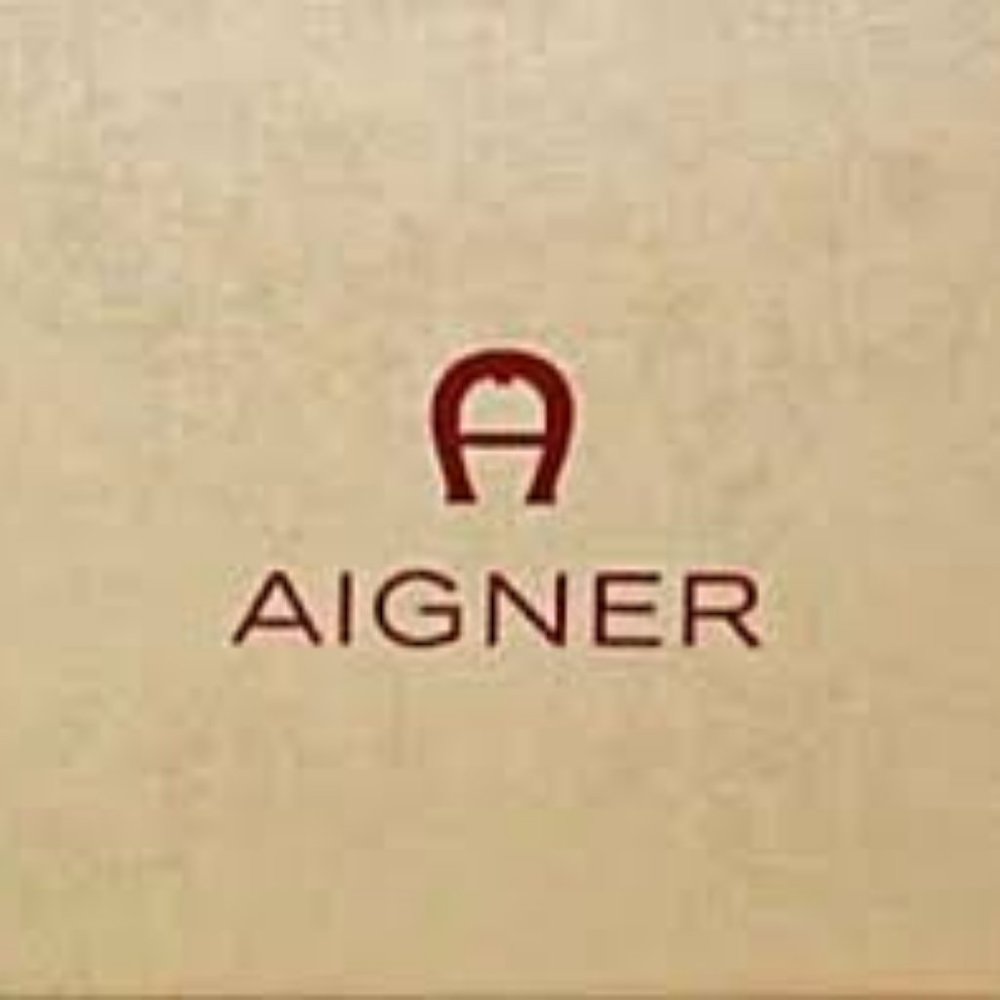 etienne aigner slides